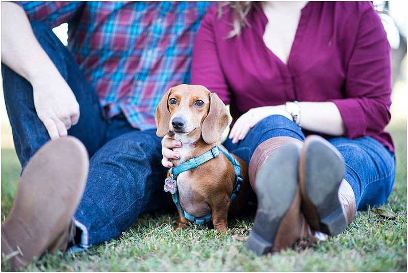 dogs at engagement sessions | Photography by Laura Barnes Photo